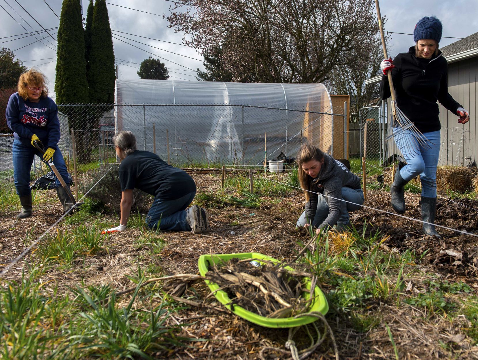 Highlands garden provides free fresh produce